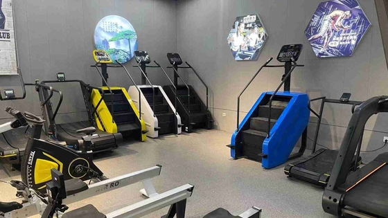 購入 ステンレス フィットネス 電気駆動のクライマー 階段マスター ステップミル クライミング オンライン製造