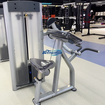 Buy Pin Loaded Biceps Curl Machine for Arms Strength Training and Body Building Commercial 1120*820*1440mm online manufacture