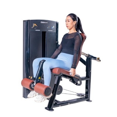 Buy Leg Extension Pin Loaded Machine for Gym Use online manufacture