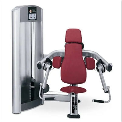 Buy Commercial and Home Gym Fitness Equipment Steel Pin-Loaded Bicep Machine for Chest Back Shoulder Leg Training online manufacture
