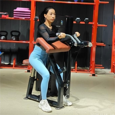 Buy Seated Bicep Curl Pin Loaded Machine Has Self-aligning Handles Commercial Pin Loaded Strength Gym Equipment online manufacture