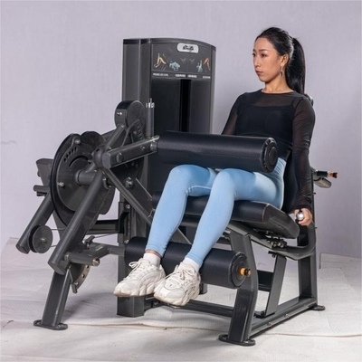 Buy Commercial Gym Strength Training 2 Functions Pin Loaded Seated Leg Curl Machine online manufacture