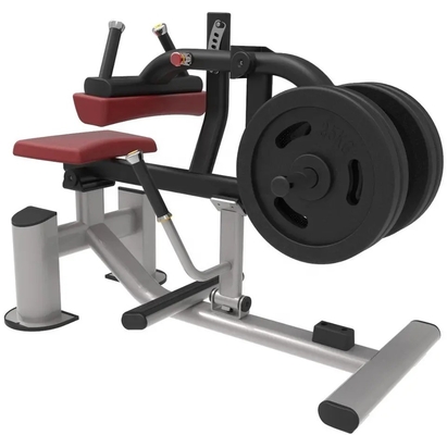 comprar Equipamento Fitness Assento Calf ajustável Eleva Força Treinamento Calf Sentado máquina online manufacture