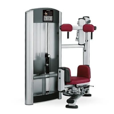Buy Commercial Gym Equipment Pin-Loaded Obliques Workout Rotary Torso High-End Selection Machines online manufacture