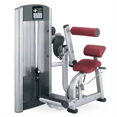Buy Commercial Gym Equipment Adjustable Back Extension Machine Pin-Loaded Abdominal Trainer online manufacture