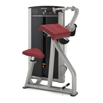 Buy Fitness Equipment Strength Training Tricep Curl Pin Loaded Triceps Machine online manufacture