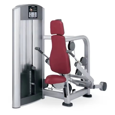 Buy Lying Triceps Extensions Triceps Brachii Muscle Strength Training Pushdown Exercise Equipment Pin Loaded online manufacture
