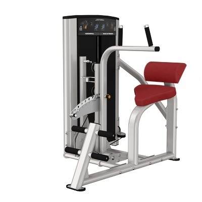 Buy Dual Function Gym Equipment For Strength Training Steel Back Extension Abdominal Machine online manufacture
