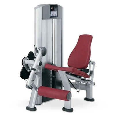 Buy Pin Loaded Leg Extension Machine Gym Quadriceps Shins Adjustable Seated online manufacture
