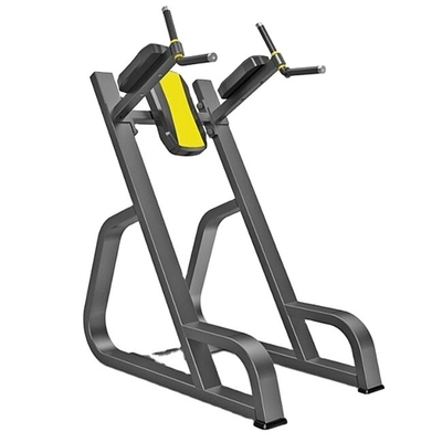 Buy Commercial Multi-Functional Vertical Kness UP/DIP Plate Loaded Machine online manufacture