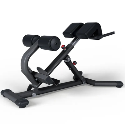Buy Adjustable Back Extension Roman Chair Home Gym Strength Training Machine for Abdominals and Back Exercise Pin Load Selection online manufacture