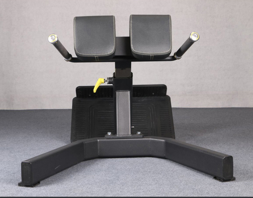 kupować Fitness 45 stopni z przydziałem tyłu do sprzedaży produkcja online