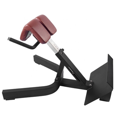 comprar Equipamento de ginástica Cadeira romana Abdominais Treinamento de força nas costas Banco de extensão nas costas ajustável fabricação em linha