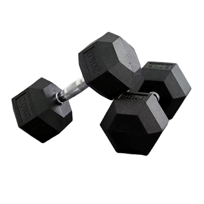 Buy Gym Equipment Home Gym Free Weights Rubber Hex Dumbbells online manufacture