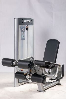 comprar Máquina de Extensão de Pernas e Flexão de Pernas Pronada com Estrutura de Aço Reforçado para Treino de Força Movimento Suave para Uso em Academia online manufacture