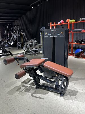 comprare 2 in 1 attrezzature per l'allenamento del corpo inferiore progettate per la casa e il fitness commerciale con impostazione regolabile e supporto stabile online manufacture