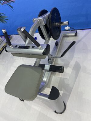 acheter Machine de levage de mollet Équipement d'entraînement de force commercial Gymnase Formateur de conditionnement physique pour les jambes inférieures Plaque d'entraînement chargée Station d'exercice debout online manufacture