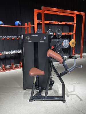 Αγορά Υψηλής ποιότητας Biceps Machine Εμπορικό γυμναστήριο Εξοπλισμός προπόνησης δύναμης Πλάκα φορτωμένος εκπαιδευτής για το άνω μέρος του βραχίονα γυμναστική γυμναστική σταθμός online manufacture