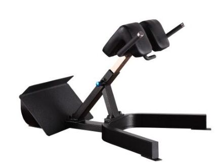 Mua Ghế La Mã điều chỉnh 45 độ Extension Back Gym Bench Home Fitness Equipment Đào tạo sức mạnh Tập thể dục trên cơ thể Sử dụng online manufacture