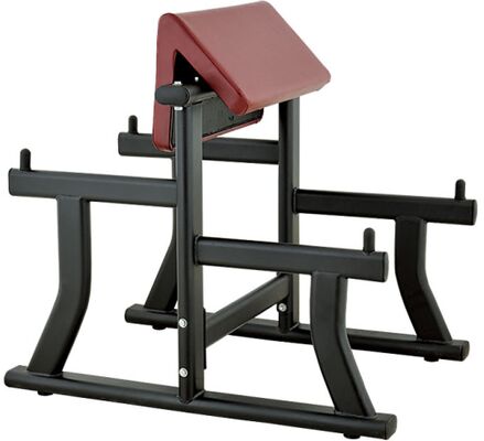 kopen Groothandel Gymapparatuur voor Biceps Curl Pin Load Selectie Machines Hoge Kwaliteit Arm Curl Bank Hot online manufacture