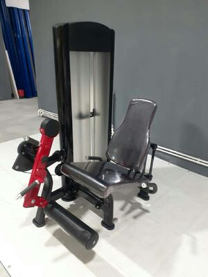 buy Freeman Leg Extension Machine Commercial Gym Strength Equipment For Quadriceps Lower Body Workout Fitness Station online manufacture