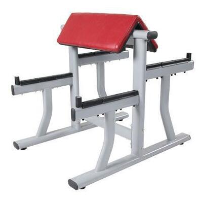Mua 2026 Thiết bị thể dục mới nhất Thể dục cánh tay Curl Bench Thể dục thể dục thương mại Thiết bị thể dục giảng viên Curl Trainer cho biceps Đào tạo sức mạnh phần trên cơ thể Trò tập thể dục online manufacture