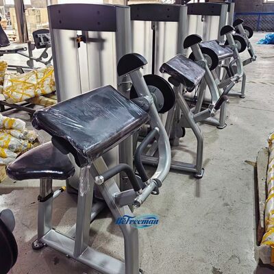kopen Freeman Pin geladen zittende biceps machine commerciële sportschool arm workout biceps curl krachttraining fitness apparatuur Freeman machine online manufacture