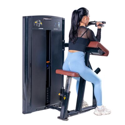 kopen Commerciële Biceps Machine Sportschool Krachttraining Bovenlichaam Arm Biceps Spieropbouw Fitness Oefenapparatuur Freeman Systeem online manufacture