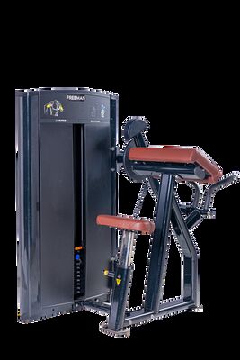 Mua Thương mại Pin Loaded Arm Curl Trainer Biceps Máy đào tạo phòng tập thể dục Thiết bị sức mạnh Cơ thể trên Tập thể dục Trạm tập thể dục online manufacture