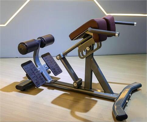 kaufen 2026 Heißer Verkauf Verstellbare Rückenstreck-Römische Bank Heim-Fitnessstudio Krafttrainingsgerät für Bauch- und Rückentraining Pin-Load-Auswahl online manufacture