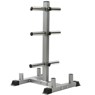 Buy Befreeman Professional Commercial Grade Weight Plate Rack For Gym Weight Plate Storage Fitness Station Hot Sale Gym Fitness Equipment Weight Plate Rack online manufacture