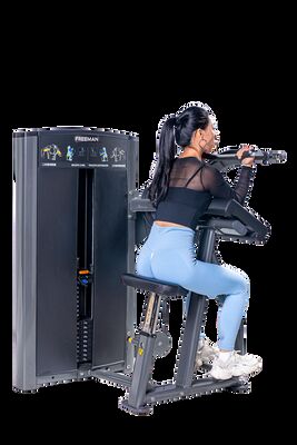 kopen Biceps Triceps Machine Gym Fitness Equipment Arm Strength Training online manufacture