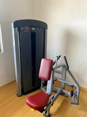 Купить High Performance Seated Cable Row System Commercial Gym Fitness Equipment online manufacture