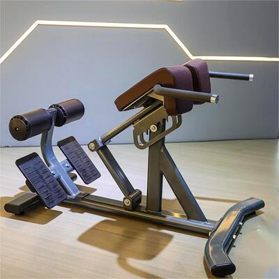 satın al Ticari Spor Salonu Fitness Ekipmanı Hiper Genişleme Bench Roma SandalyesiBack Extension online manufacture