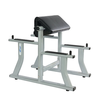 comprar Banco de Curl de Brazos Freeman de Alta Calidad 2026 en Venta Caliente para Entrenamiento de Tren Superior online manufacture