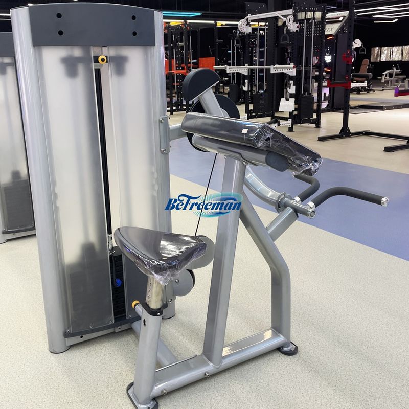 Pin Loaded Biceps Curl Machine for Arms Strength Training and Body ...