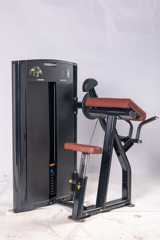 Arm Workout Fitness Exercise Station Superior Quality Biceps Machine ...