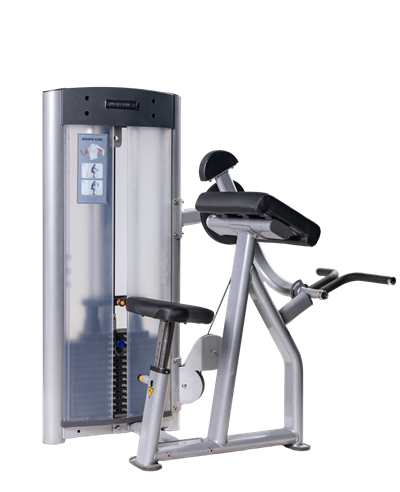Commercial Gym Biceps Training Machine Pin Loaded Arm Curl Upper Body ...