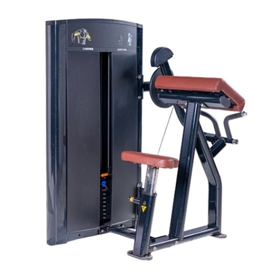 Υψηλής ποιότητας Biceps Machine Gym Χρήση Εμπορική