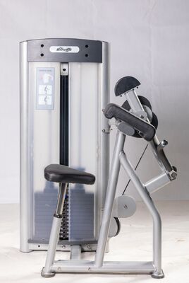 Commercial Biceps Training Machine Commercial Gym Strength Equipment Plate Loaded Arm Curl Trainer For Upper Body Workout Fitness Station