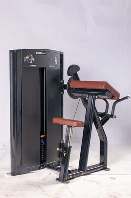 Arm Workout Fitness Exercise Station Superior Quality Biceps Machine Commercial Gym Strength Training Equipment For Upper