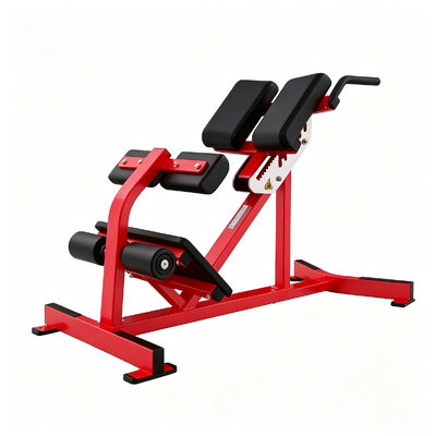 Roman Chair Back Extension Steel Bench for Lower Back Core Training and Commercial Gyms